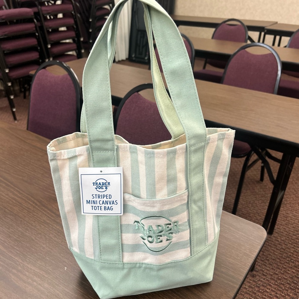 Trader Joe’s Striped Mini Canvas Tote Bag - Mint & Cream